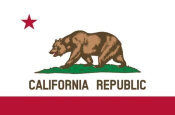 California Auctioneer License Requirements