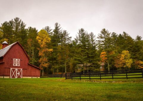 Ranch and Farm