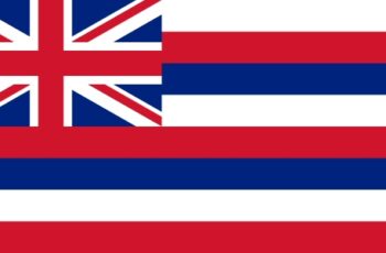 Hawaii Auctioneer License Requirements