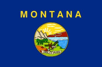 Montana Auctioneer License Requirements