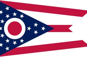 Ohio Auctioneer License Requirements