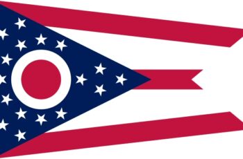 Ohio Auctioneer License Requirements