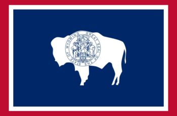 Wyoming Auctioneer License Requirements